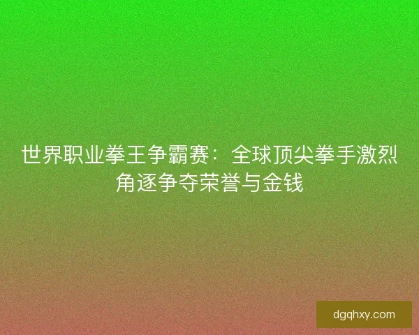 世界职业拳王争霸赛：全球顶尖拳手激烈角逐争夺荣誉与金钱
