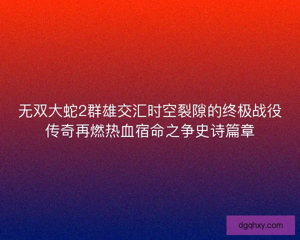 无双大蛇2群雄交汇时空裂隙的终极战役传奇再燃热血宿命之争史诗篇章
